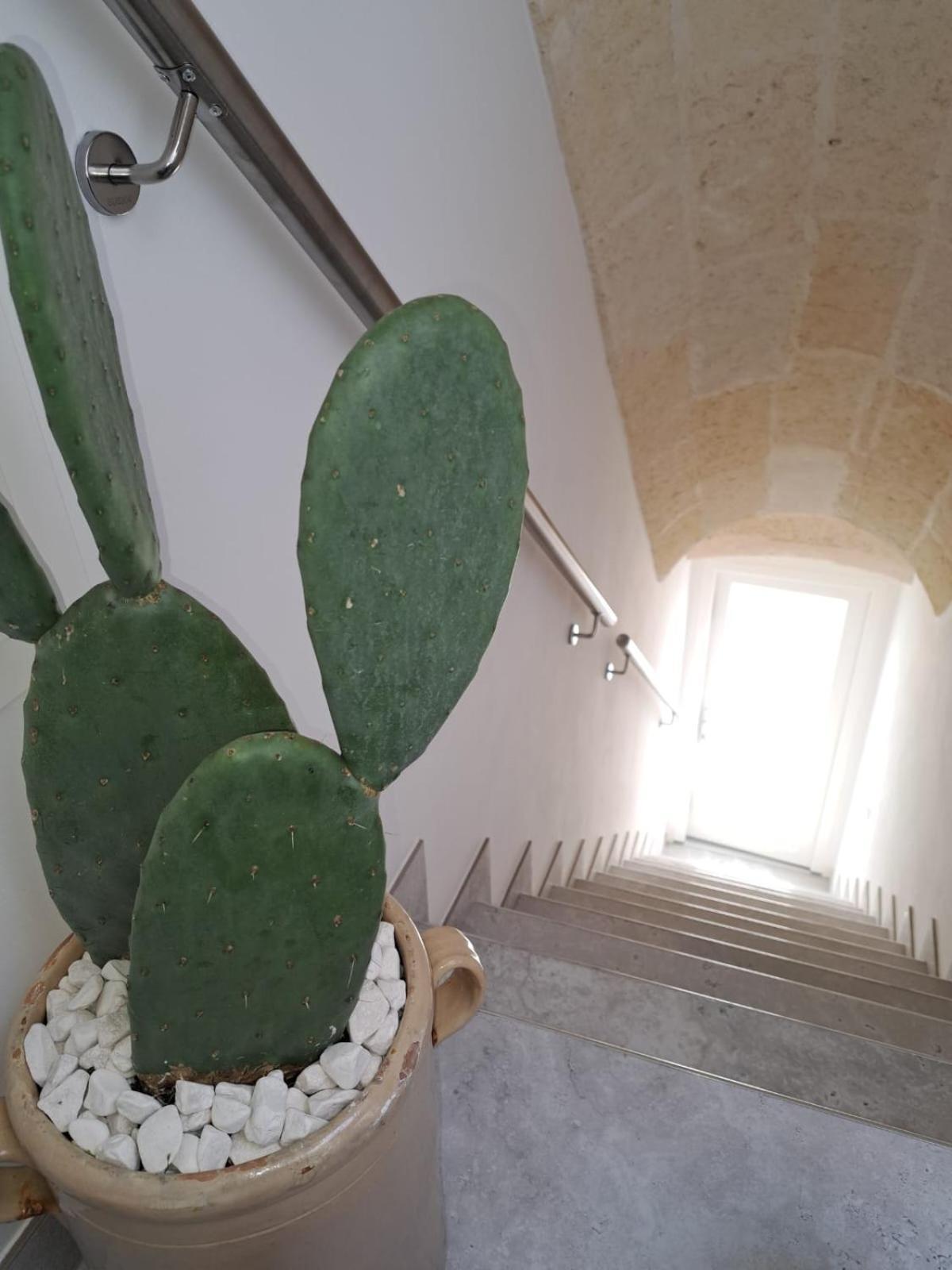 גרוטליה Mae Apulian Rooms מראה חיצוני תמונה